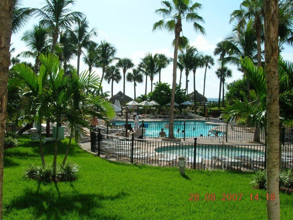 Gartenlandschaft / Pool Hotel Riu Plaza Miami Beach
