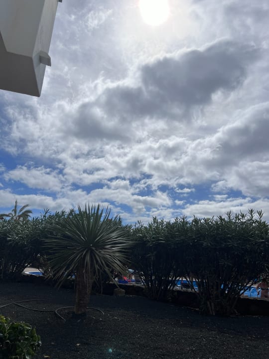 Ausblick allsun App.-Hotel Albatros