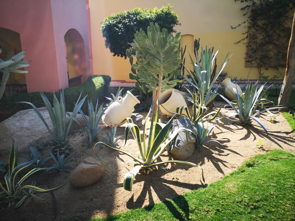 Garten Jaz Makadi Saraya Resort