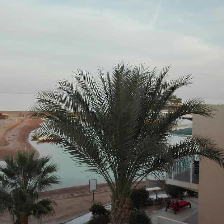 Ausblick Mövenpick Resort & Spa El Gouna