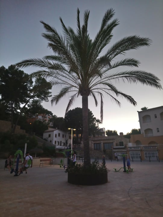 Strand FLOR los Almendros Hotel