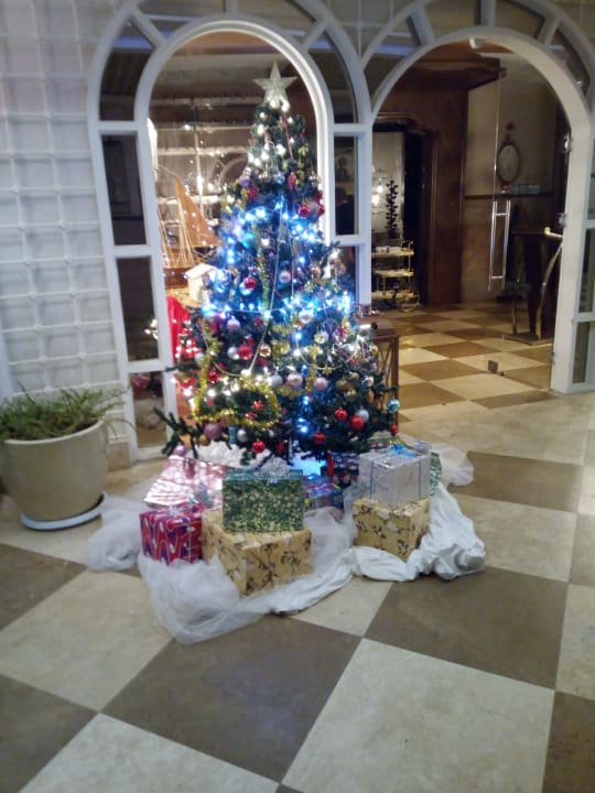 Sonstiges Hotel Delphin Imperial