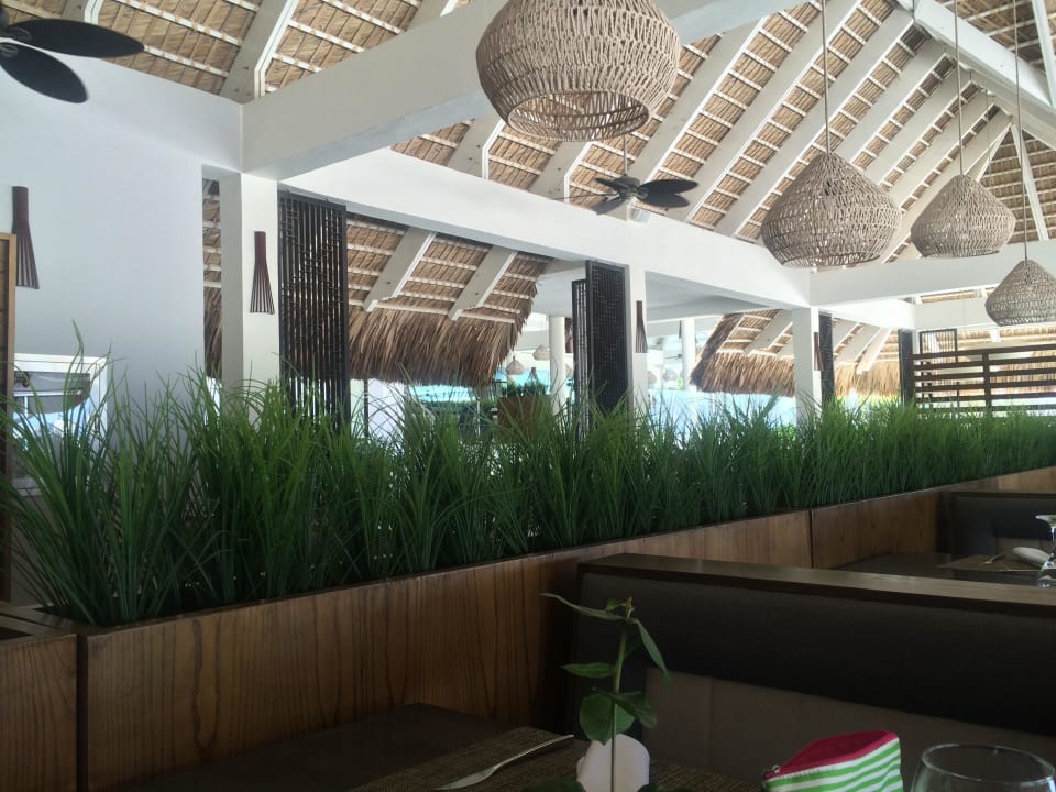 Restaurant The Level Meliá Caribe Beach Resort-All Inclusive