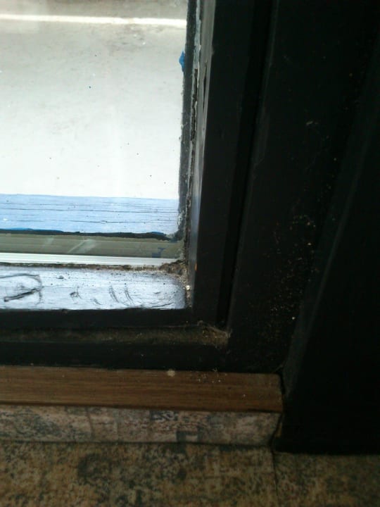 Der Fensterrahmen Panoramic - Ihr Apartmenthotel im Harz