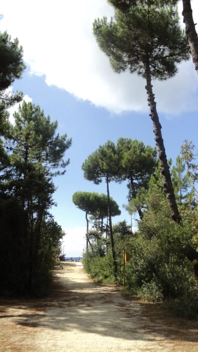 Расстояние до моря PuntAla Camp & Resort