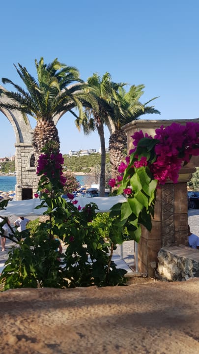 Sonstiges Club Resort Atlantis