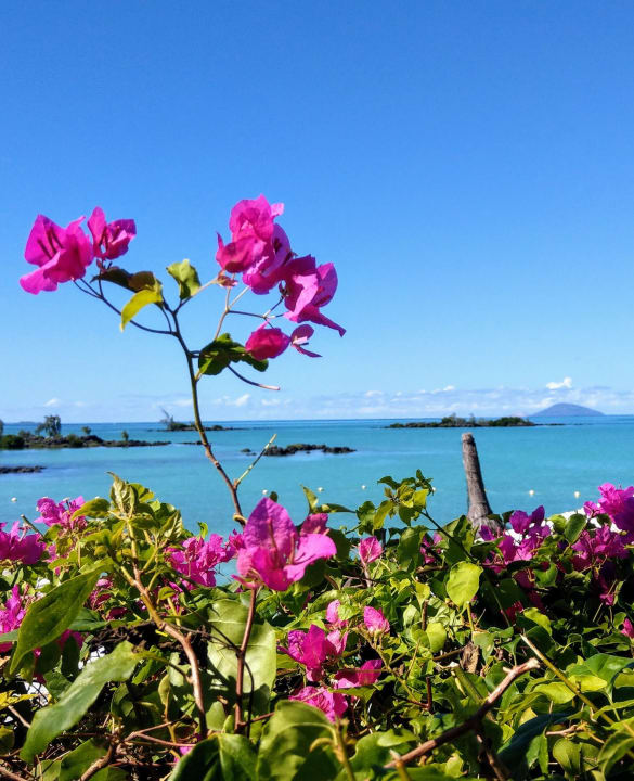 Ausblick Lagoon Attitude - Adults only