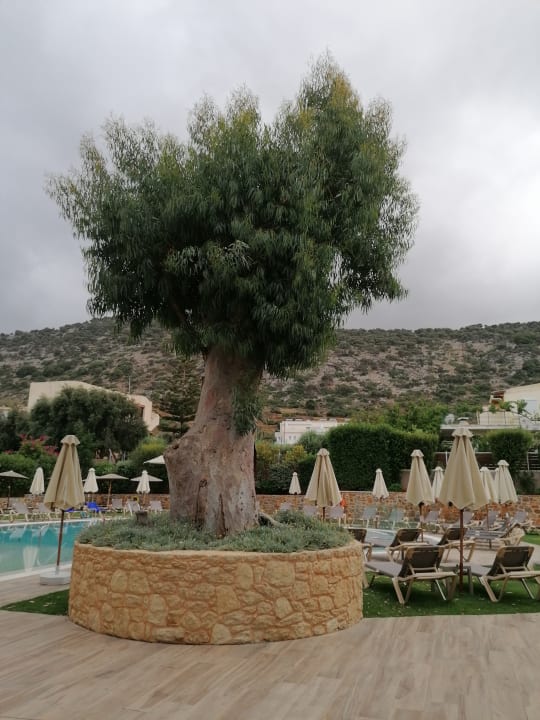 Gartenanlage Cactus Beach