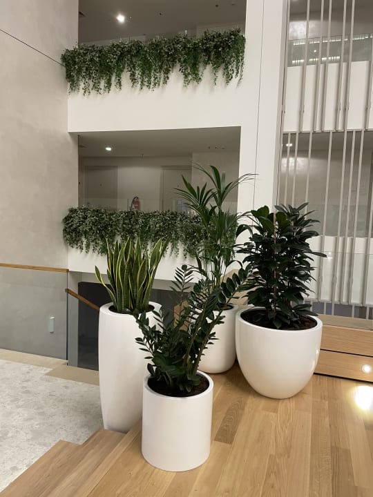 Sonstiges Aminess Laurel Khalani Hotel