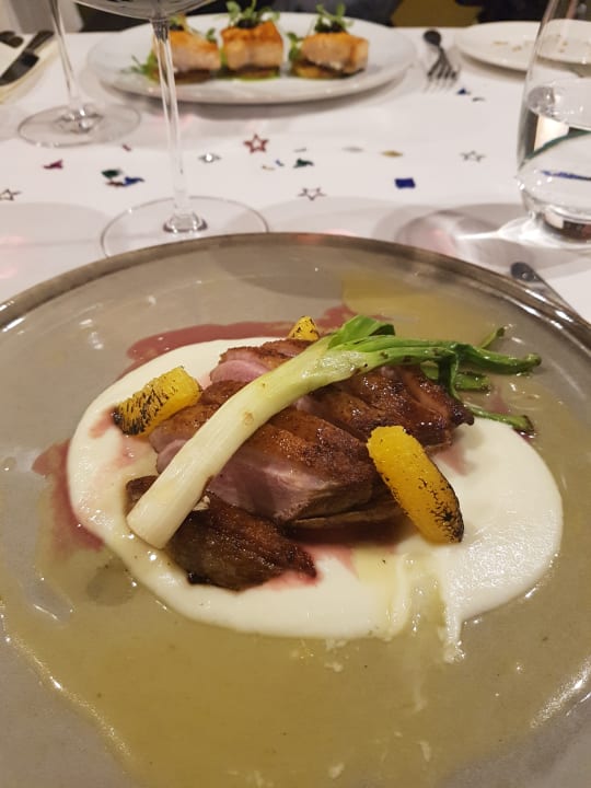 Gastro Acanthus Cennet Barut Collection