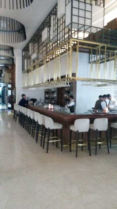 Gastro Acanthus Cennet Barut Collection