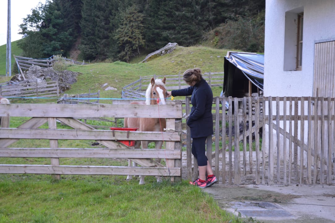Abends noch mal Tiere streicheln Jagerhof