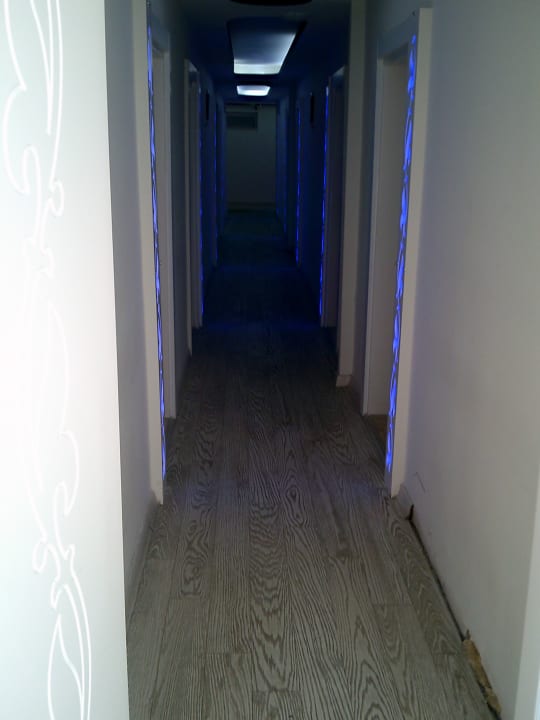 Zimmer Side Miami Beach