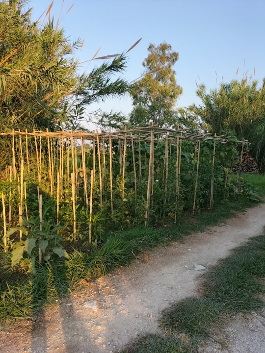 Gartenanlage Almyros Villas Resort