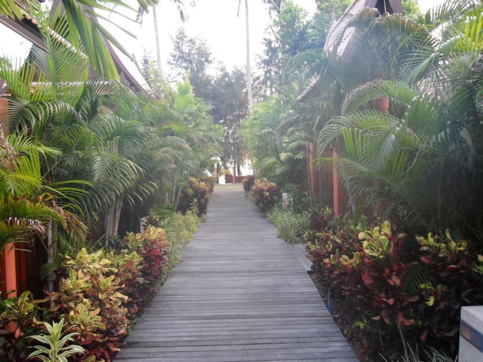 Weg zum Strand Koh Chang Paradise Resort & Spa