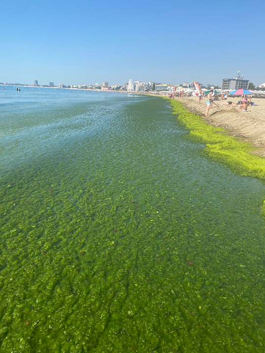 Strand Sentido Bellevue Beach