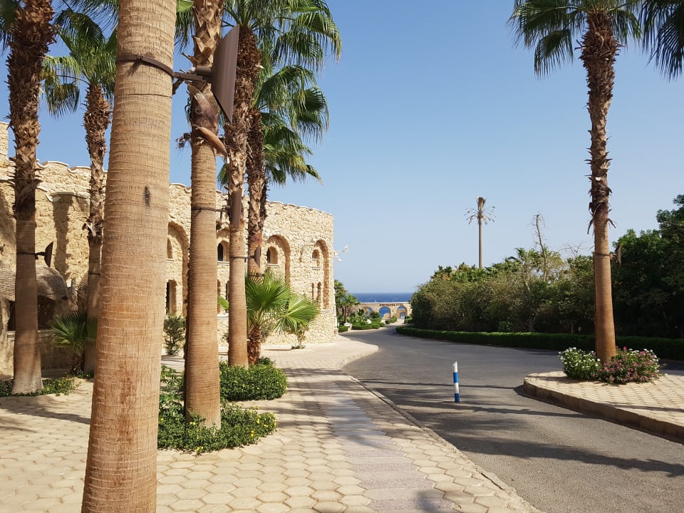 Sonstiges Pickalbatros Citadel Resort