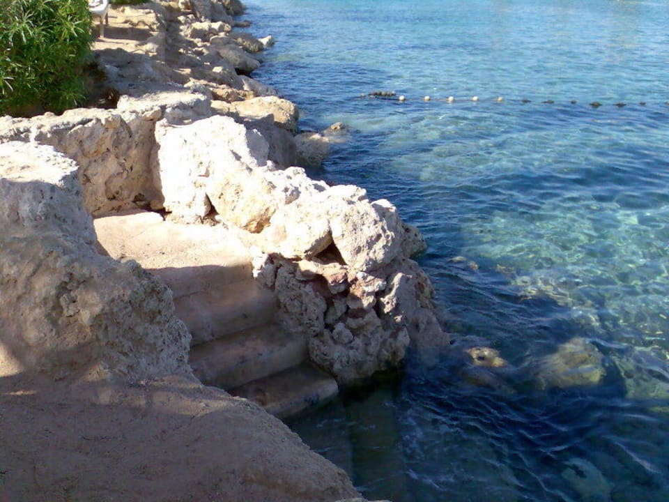 Meerlagune Pickalbatros Citadel Resort