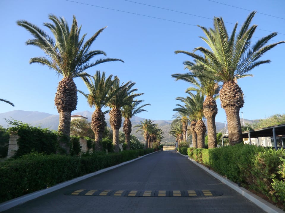 Zufahrt vom Hotel Phãea Cretan Malia