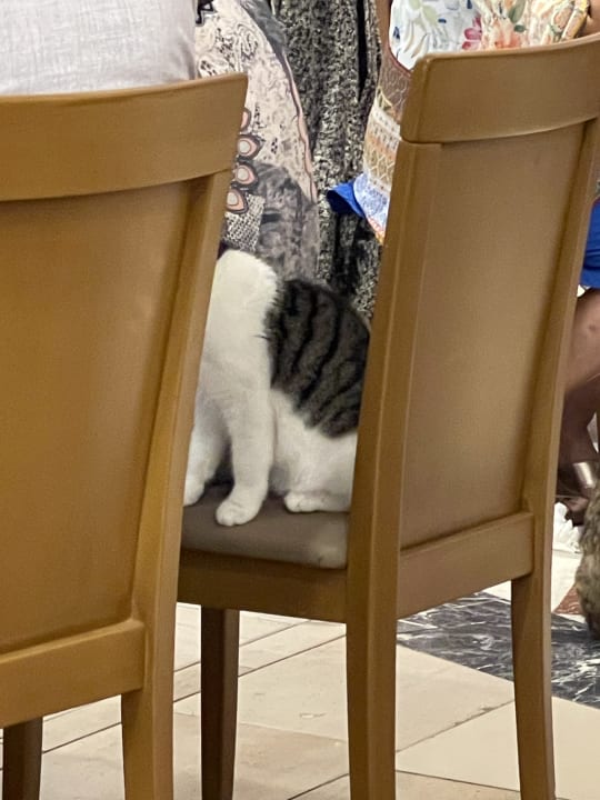 Sonstiges Limak Limra Hotel & Resort