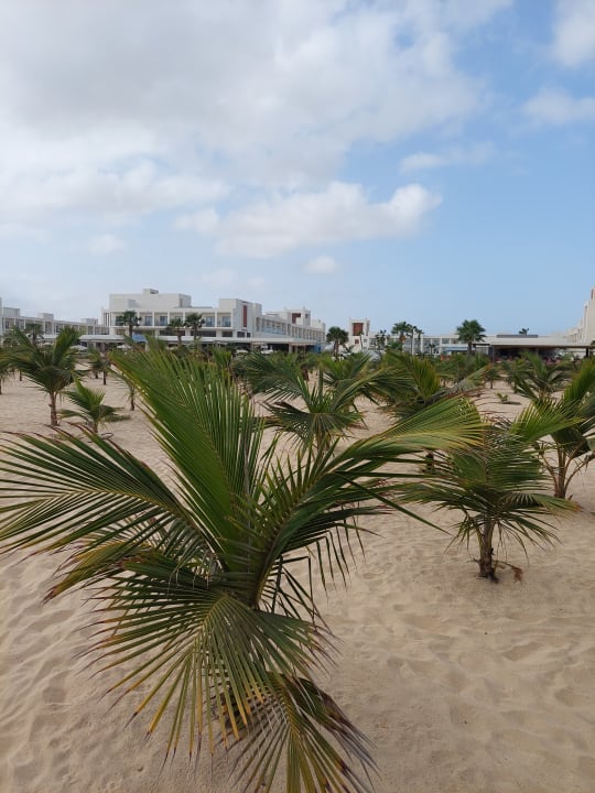 Strand Hotel Riu Palace Santa Maria