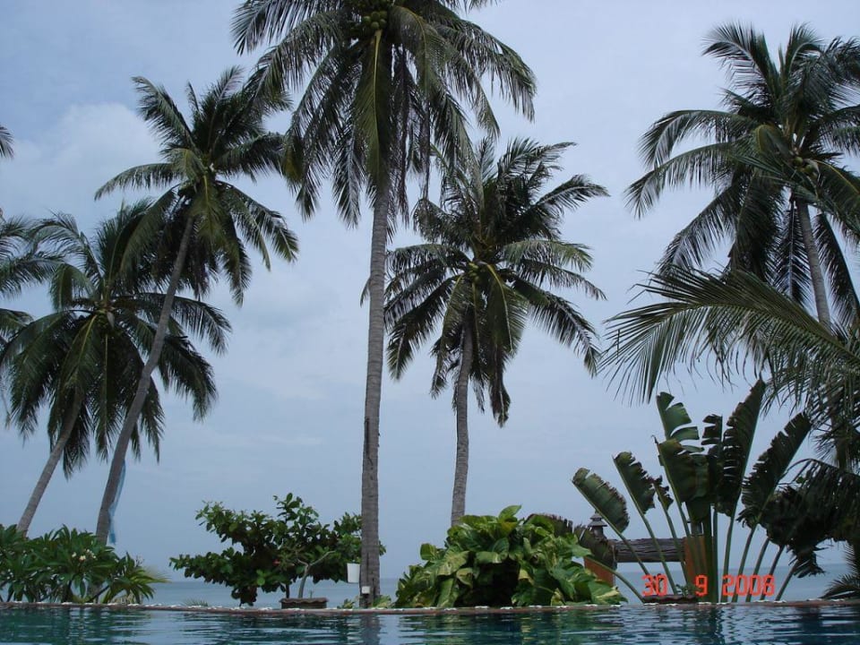 Pool Pariya Resort & Villas Koh Phangan