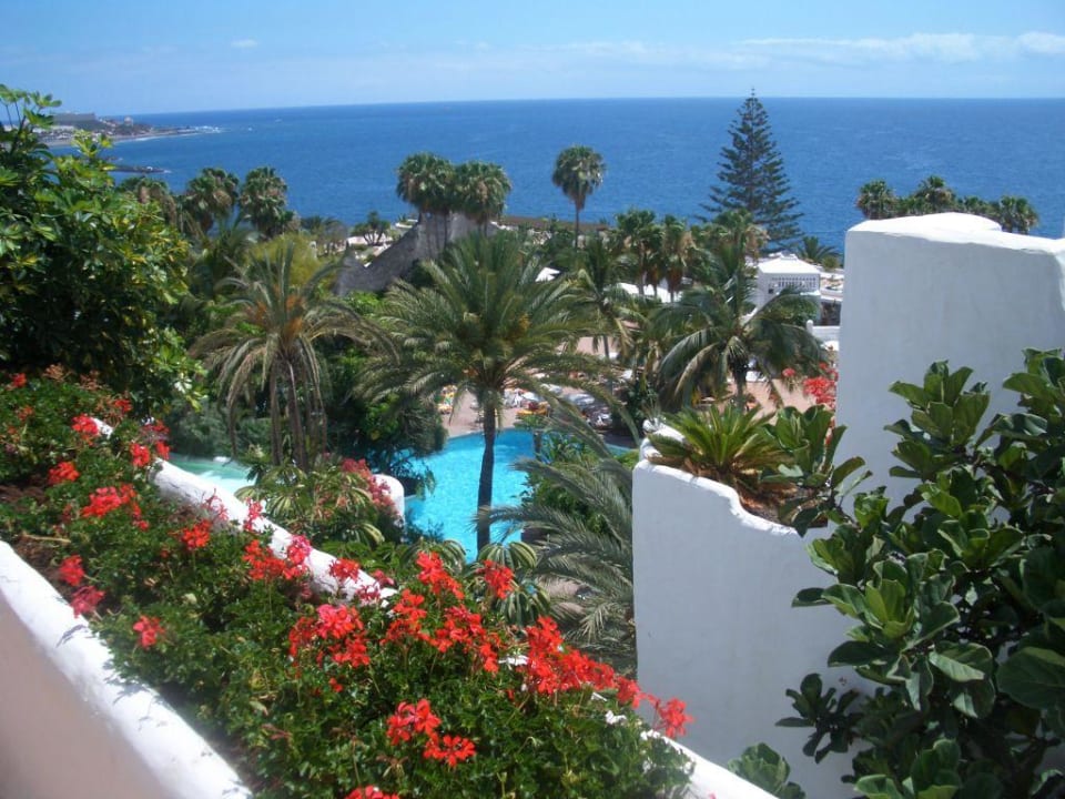 Garten und Pool Dreams Jardín Tropical