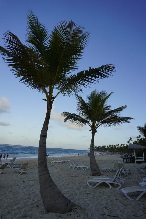 Strand Hotel Riu Republica - Adults only