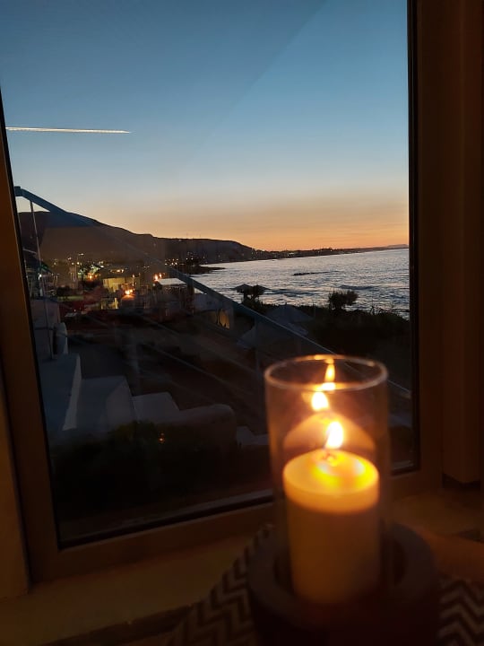 Gastro Cactus Mare - Adults only