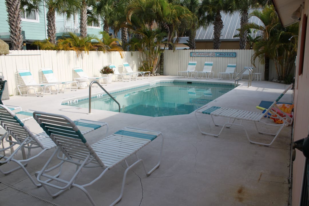 Pool Flamingo Motel & Villas Bonita Springs North Naples
