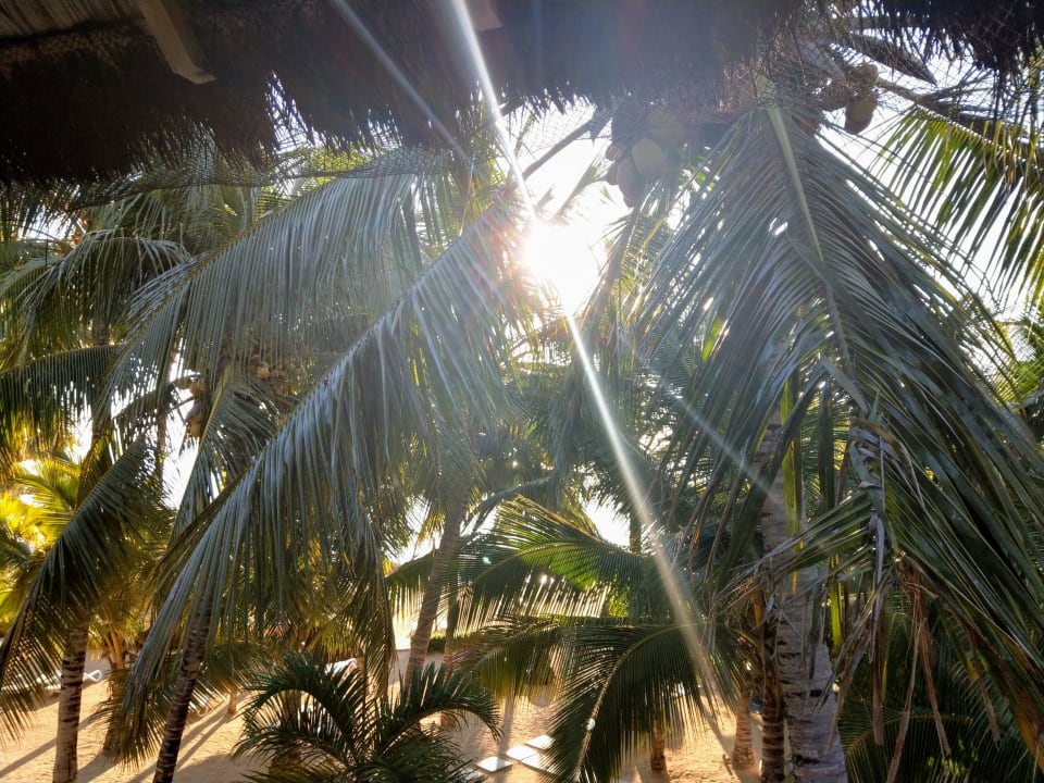 Ausblick Lagoon Attitude - Adults only