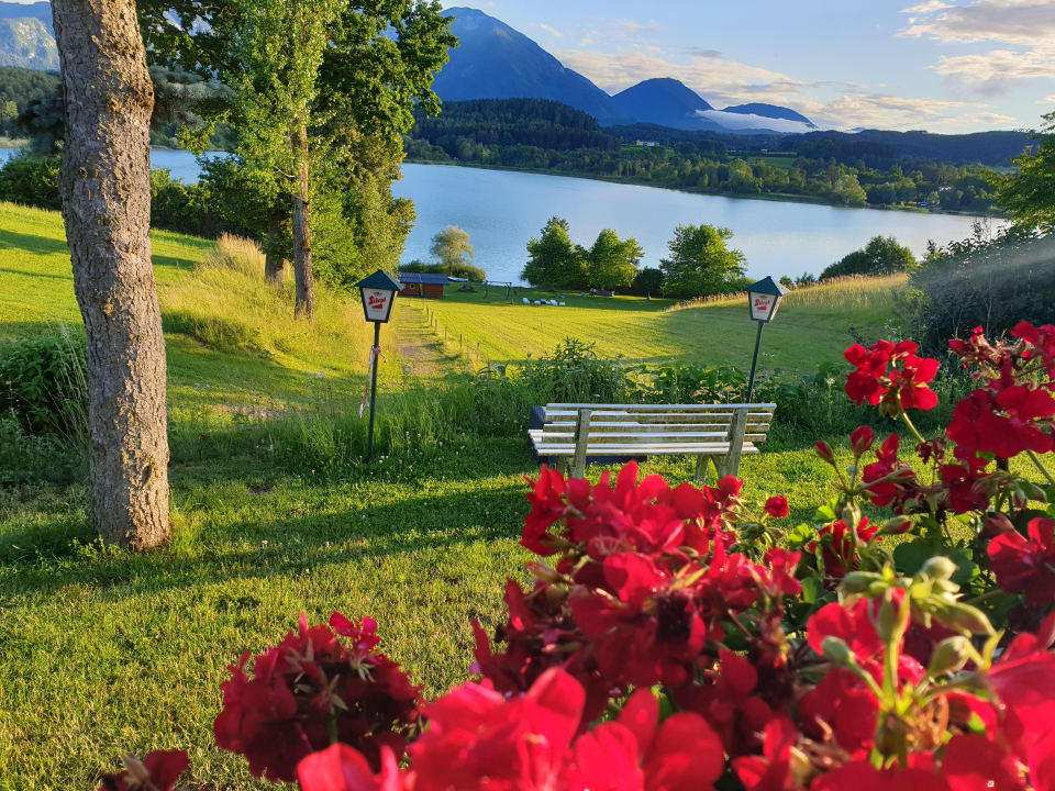 Ausblick Hotel Am See