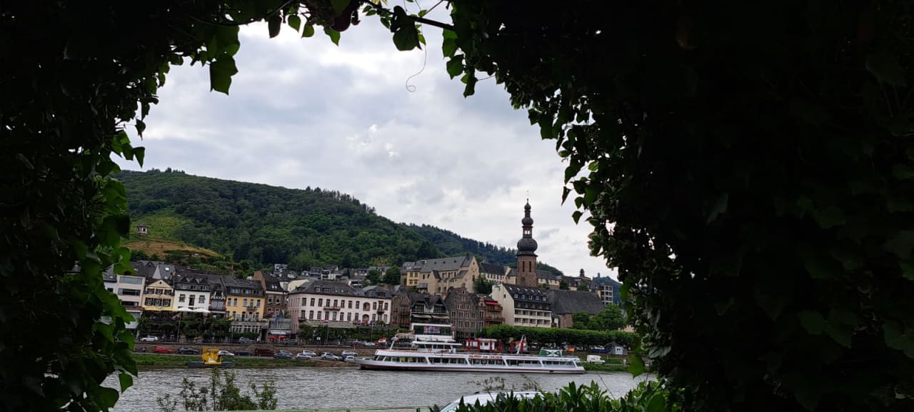 Ausblick Moselstern Hotel Brixiade & Triton