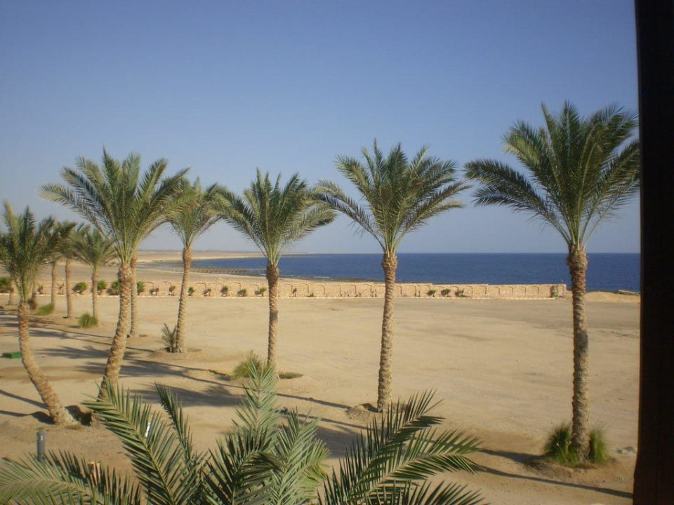 Vom Balkon aufs Rote Meer Steigenberger Coraya Beach - Adults only