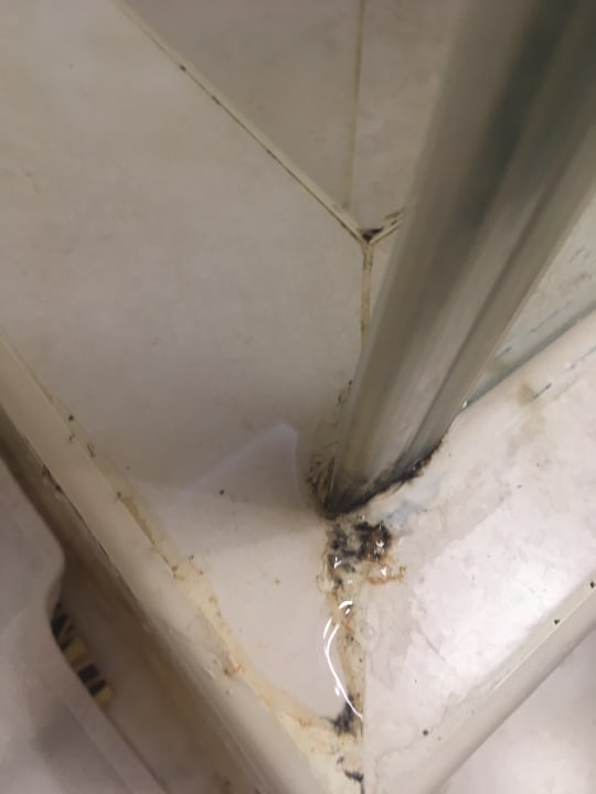 Zimmer Effect Grand Victoria Hotel