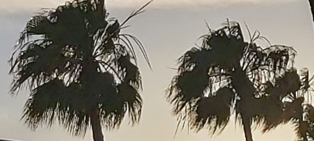 Gartenanlage Hotel Hyde Park Lane