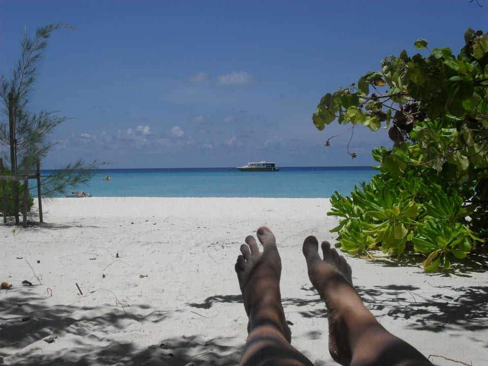 Blick von der Liege aus Summer Island Maldives