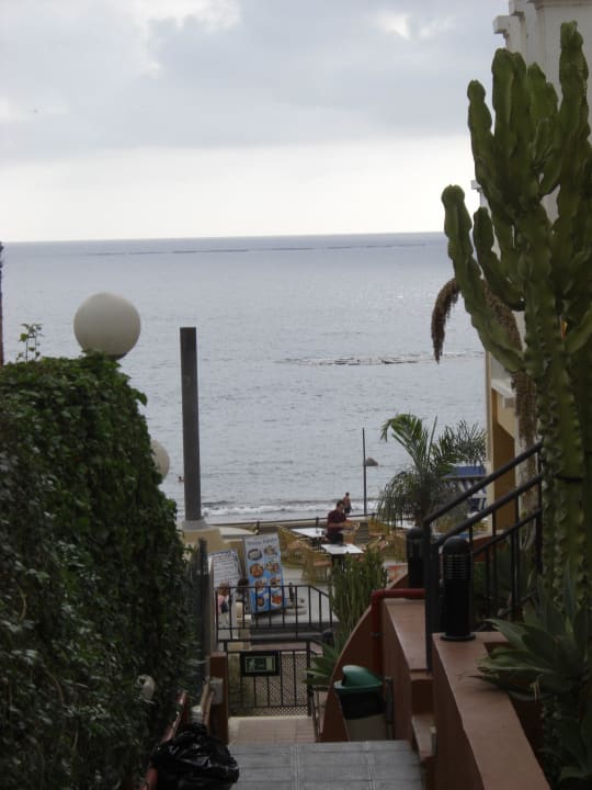 Blick zum Meer Los Olivos Beach Resort