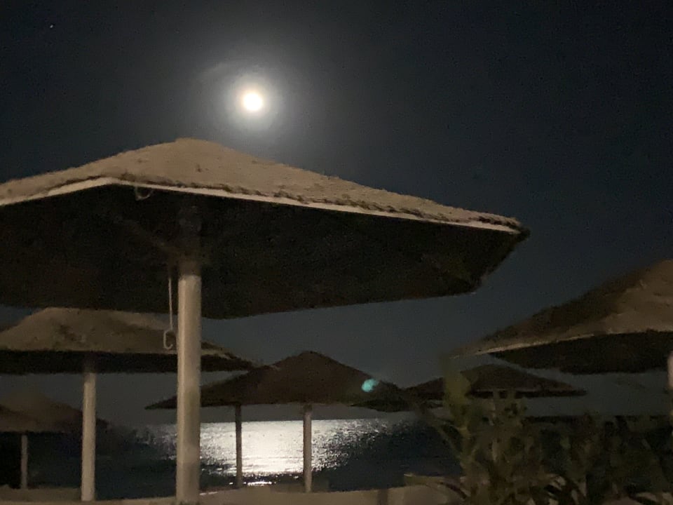 Strand Makadi Spa - Adults only