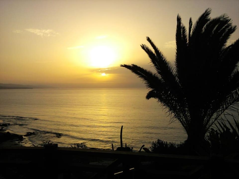 Sonnenaufgang von der Poolbar R2 Pajara Beach