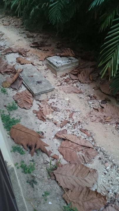 Müll The Leaf on The Sands by Katathani