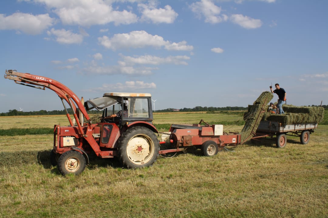 Sonstiges Ferienhof Westerhörn