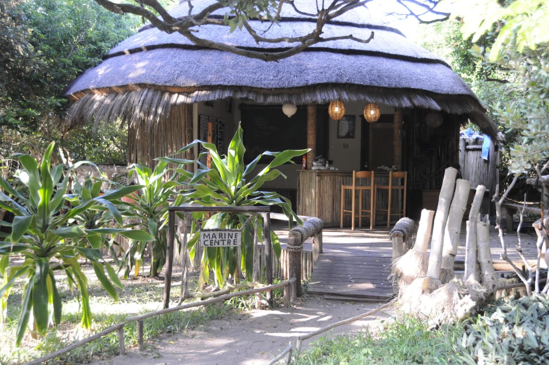 Tauchschule Hotel Thonga Beach Lodge