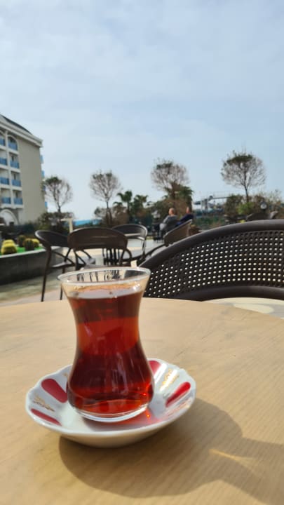 Gastro Adalya Elite Lara