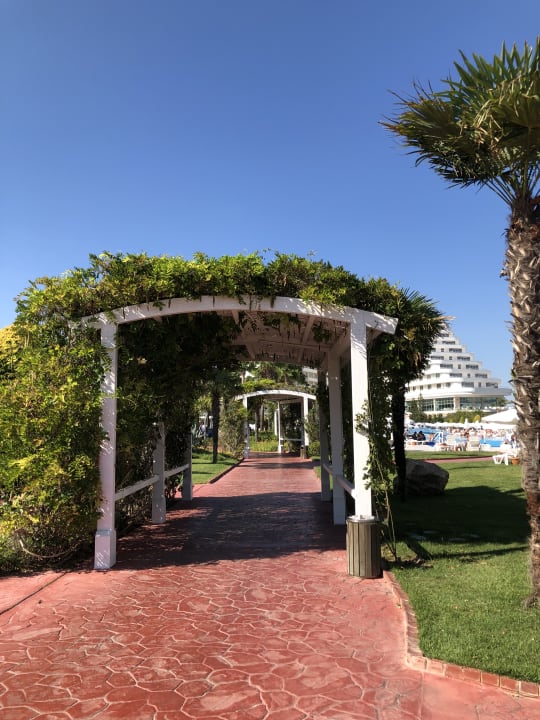 Gartenanlage Hotel Miracle Resort