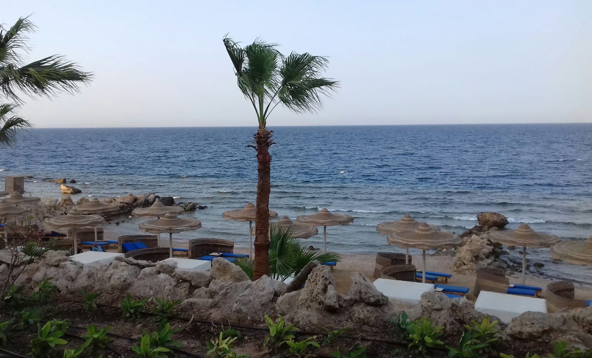 Strand Pickalbatros Citadel Resort