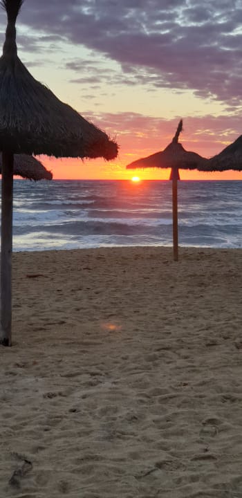 Strand Grupotel Acapulco Playa - Adults Only