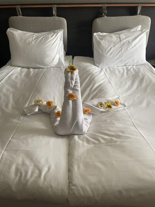 Zimmer Adora Hotel & Resort
