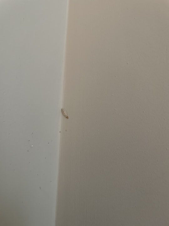 Zimmer Lopesan Costa Bávaro Resort, Spa & Casino