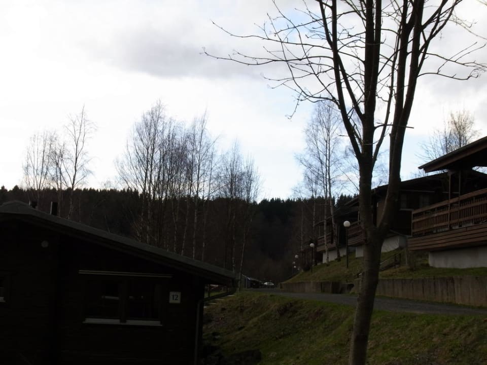 Teil der Anlage Werrapark Resort Ferienhausanlage Am Sommerberg